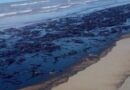 Gran derrame de petróleo en costa de California contamina las playas y provoca muerte de vida silvestre